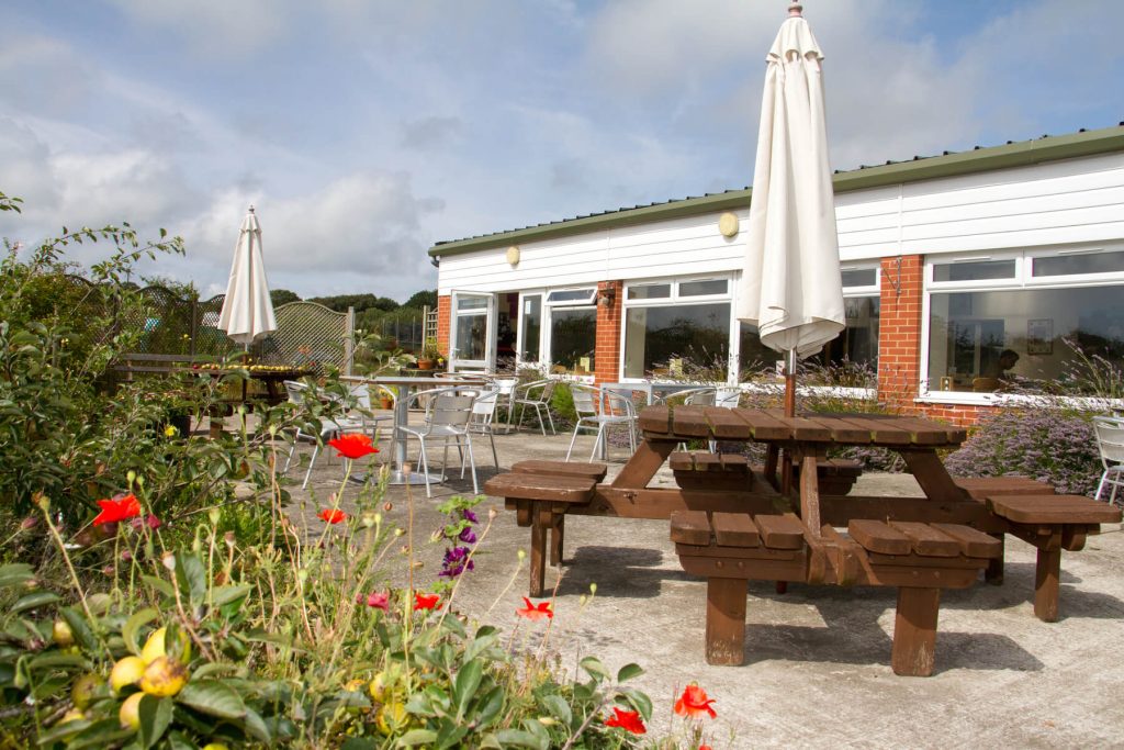 9 June 3Oth Anniversary Cream Tea Sidmouth